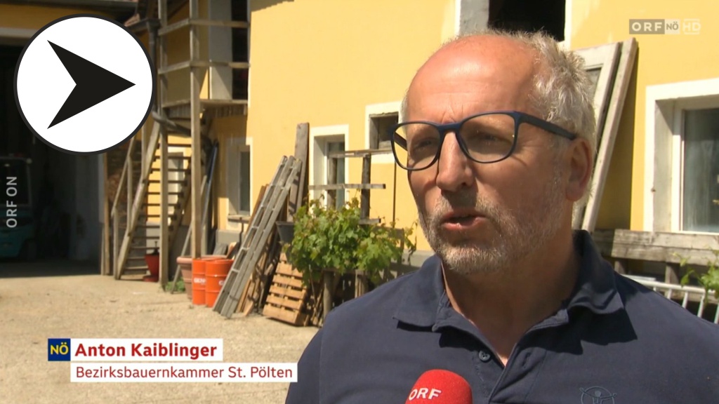 2025 05 12 NÖ heute - gekürzter Beitrag